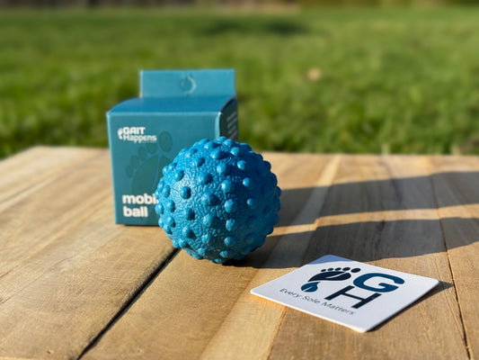 Gait Happens Mobility Ball